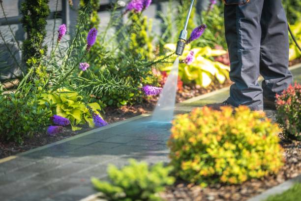 Best Winterizing Services  in Evansdale, IA